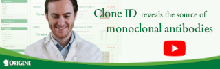 Clone ID reveals the Source of Monoclonal Antibodies